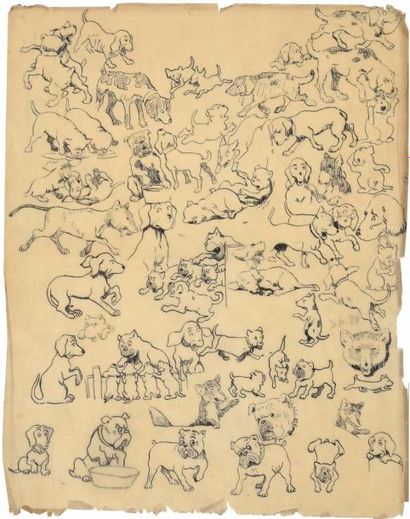 Benjamin RABIER

Etudes de personnages animaliers,...