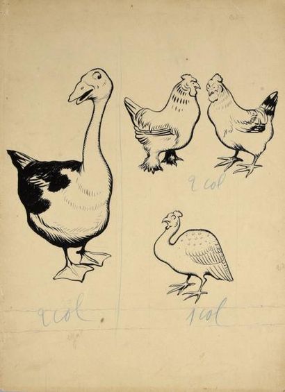 Benjamin RABIER

La volaille de basse cour.
Canard,...