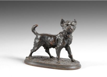 Pierre-Jules MENE (1810-1879)
Chien griffon...