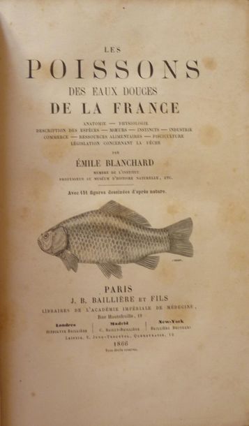 BLANDIN, Charles

Cuisine et Chasse de Bourgogne...
