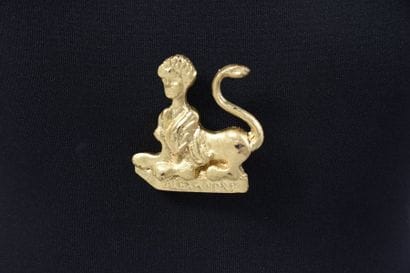 ALEXANDRE DE PARIS, broche en résine dorée...