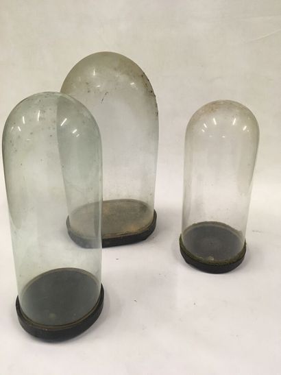 3 cloches en verre XIXe circa 1890