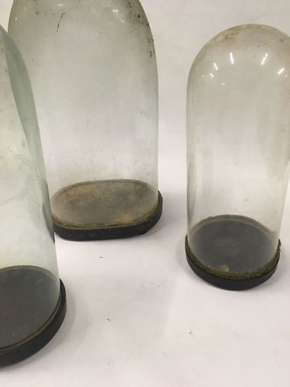3 cloches en verre XIXe circa 1890