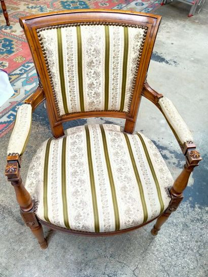 Paire de cabriolets style Directoire accotoirs...