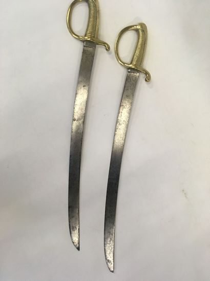 Paire de sabre XIXe dim : 71cm