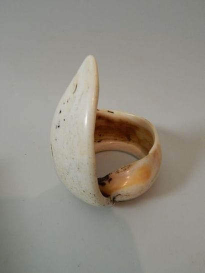 Bracelet en coquillage. Népal, début XXe...