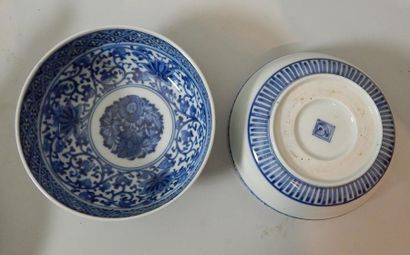 Paire de bols en porcelaine “bleu blanc”...