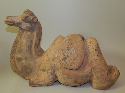 Chameau baté couché, en terre cuite. H :...