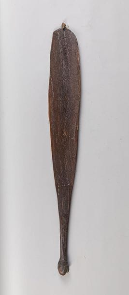 PROPULSEUR DE LANCE (WOOMERA)

Le propulseur...