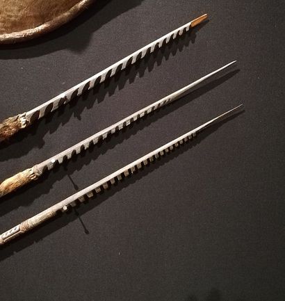 Lot de trois lances, Amérique du Sud
Bois,...