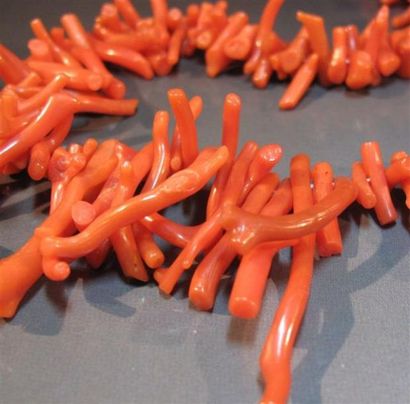 Collier de branches de corail rouge en chute....