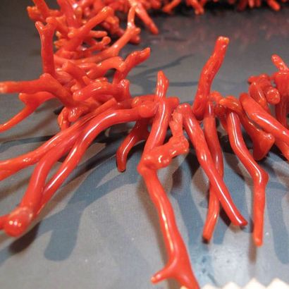 Collier de branches de corail rouge en c...