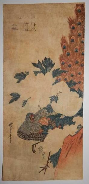 HIROSHIGE (1797 - 1858)
Kujaku ni Botan....