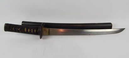 Sabre «Wakizashi», courbe similaire au Katana...