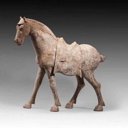 Cheval en position de marche, portant une...