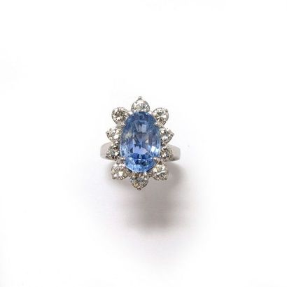 BAGUE marguerite en platine, ornée d'un saphir...