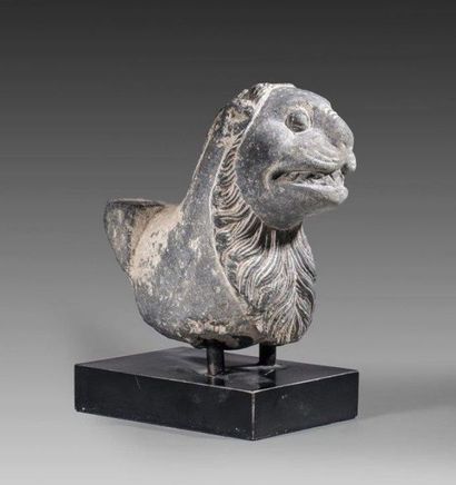 Protome de Lion en schiste. H: 14 cm (Art...