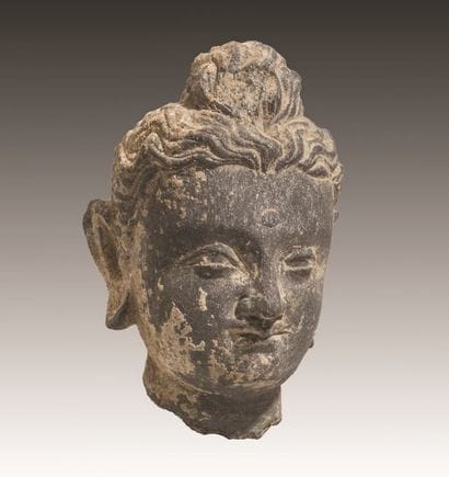 Tête de Bouddha en schiste, à la coiffure...