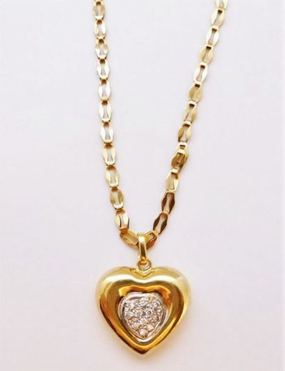 Chaine maille fantaisie et son pendentif...