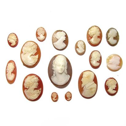 LOT de 16 camées coquille, figurant un portrait...