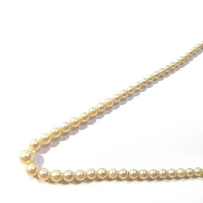 COLLIER composé d'un rang de perles de culture...