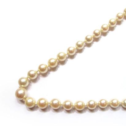 COLLIER composé d'un rang de perles de culture...