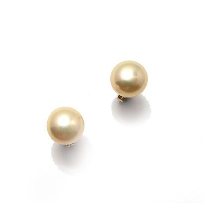 Paire de CLOUS D'OREILLES en or jaune 18k...