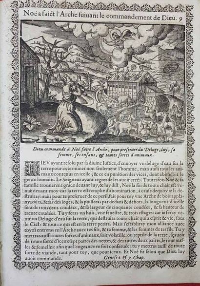 [BIBLE - COUSIN].


Figures des histoires...