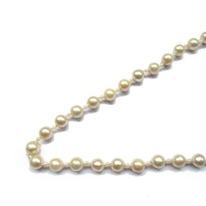 COLLIER composé d'un rang de perles de culture...