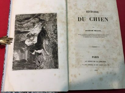 BLAZE Elzéar.Histoire du chien.Paris, Croissant,...