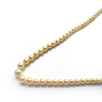COLLIER composé d'un rang de perles de culture...
