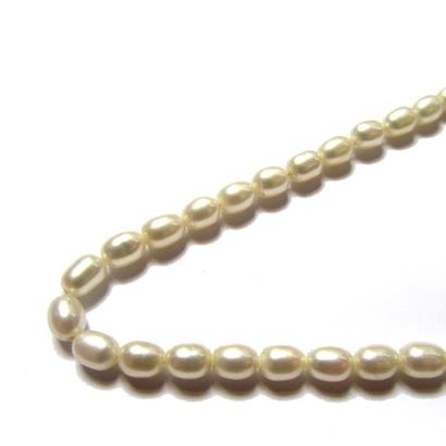 COLLIER composé d'un rang de perles de culture...