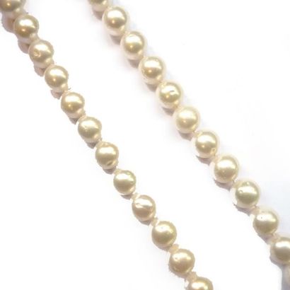 COLLIER composé d'un rang de perles de culture...