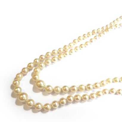 COLLIER composé de 2 rangs de perles de culture...