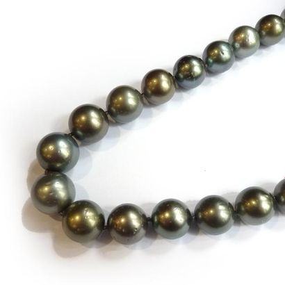 COLLIER composé d'un rang de perles de Tahiti...