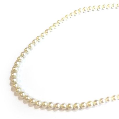 COLLIER composé d'un rang de perles de culture...