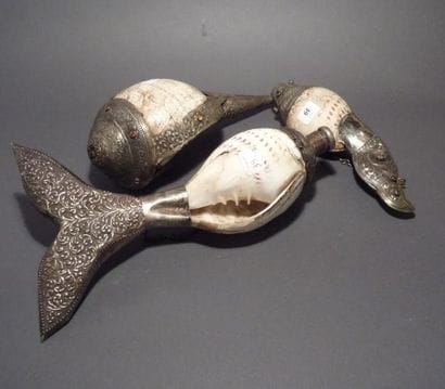 Lot de trois conques Bengladesh, Inde

Coquillages,...
