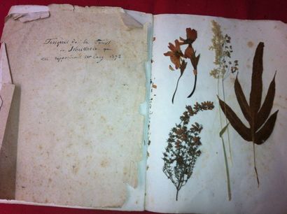 [HERBIER]

Herbier titré 