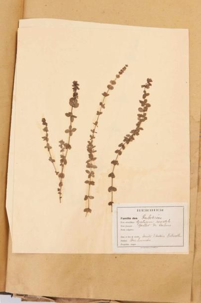 [HERBIER] Herbier réalisé par M. Y. Baudonnat...