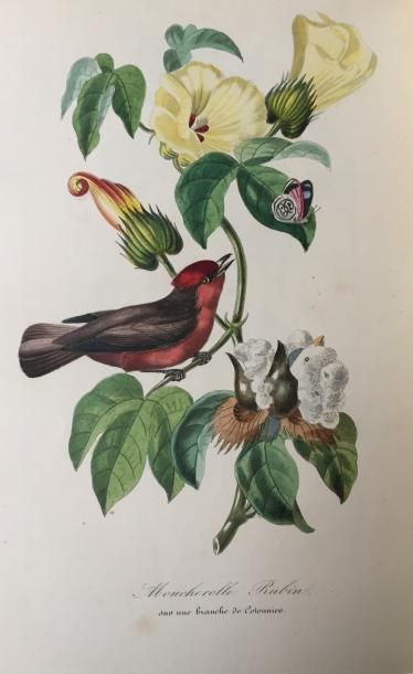 181 BIS. BERNARD, COUAILHAC et LE MAOUT.
Le...