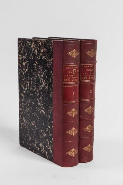 GRANDVILLE.

Scènes de la vie publique et...