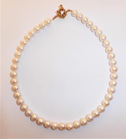 COLLIER choker d’importantes perles d'eau...