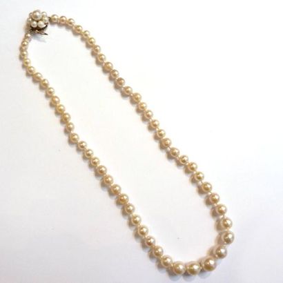 COLLIER en perles de culture en chute, fermoir...