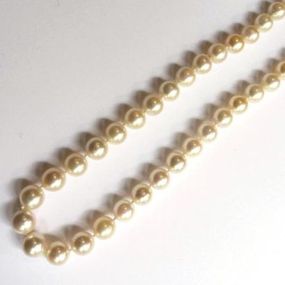 COLLIER composé d'un rang de perles de culture...