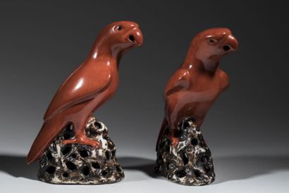 Paire de perruches en porcelaine orangée....