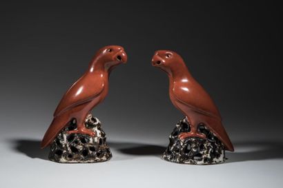 Paire de perruches en porcelaine orangée....
