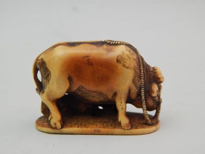 Ivoire sculpté représentant un buffle et...