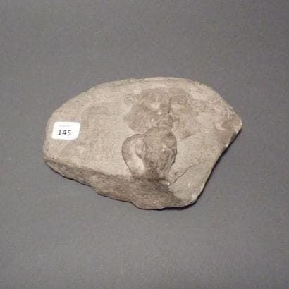 Fragment de stèle au crocodile en pierre...