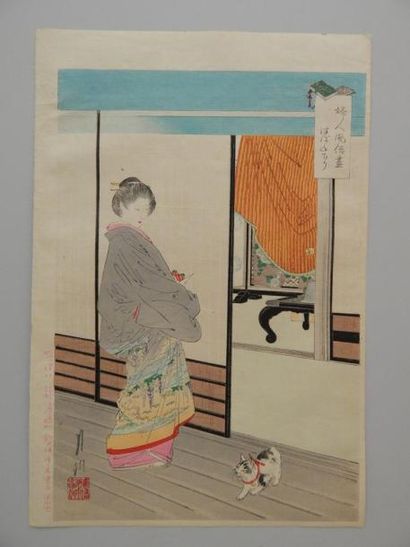 Gekko, oban tate-e, petit chat traversant...