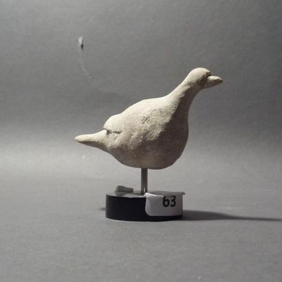 Colombe en terre cuite beige. Grande Grèce,...
